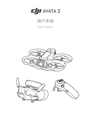 DJI大疆DJI Avata 2